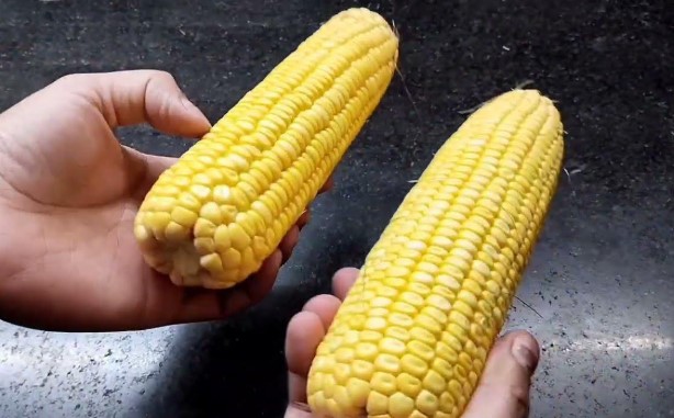 corns